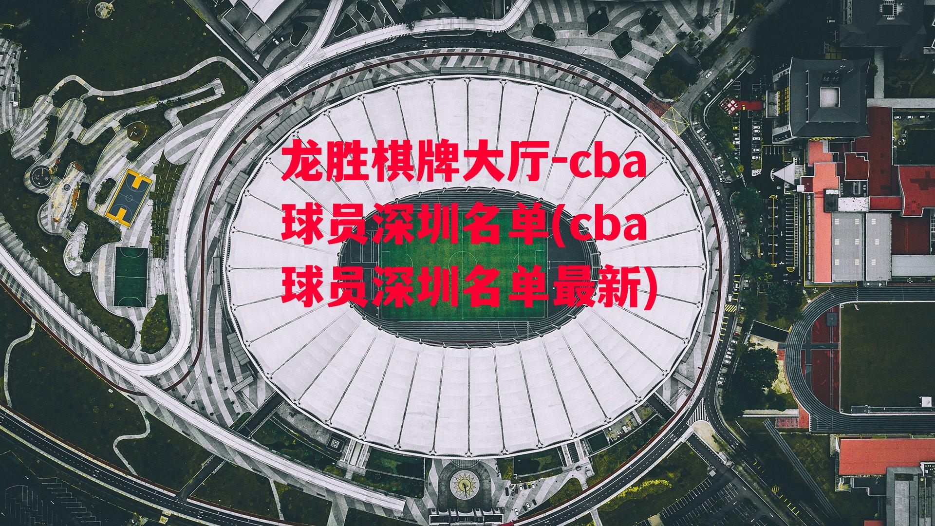 cba球员深圳名单(cba球员深圳名单最新)